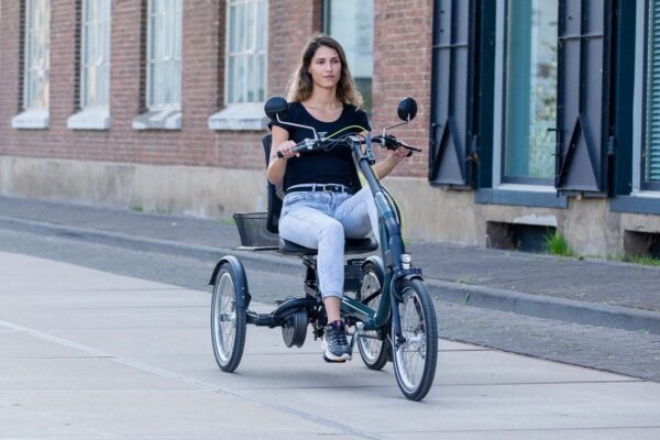 Easy Rider Driewielfiets - Afbeelding 10