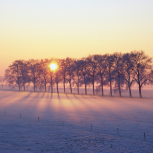 scootmobiel tips winter