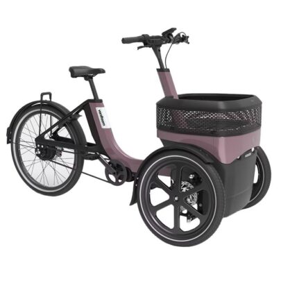 Van Raam THUJA comfortabele driewiel fiets